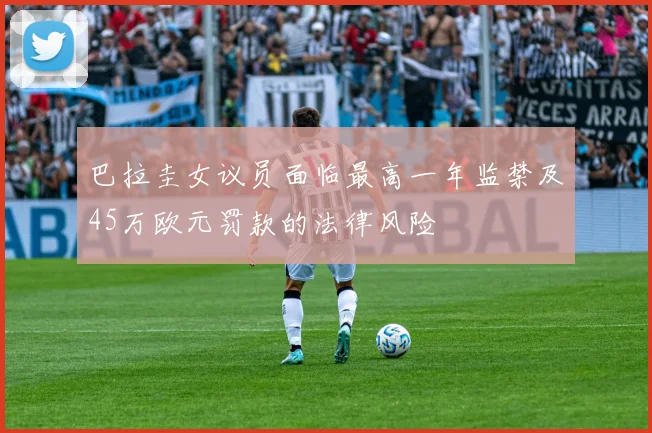 巴拉圭女议员面临最高一年监禁及45万欧元罚款的法律风险