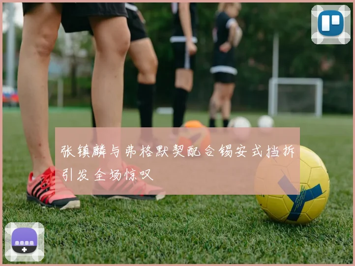 张镇麟与弗格默契配合锡安式挡拆引发全场惊叹