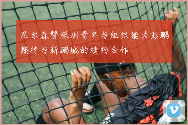 尼尔森赞深圳青年与组织能力彭鹏期待与新鹏城的续约合作